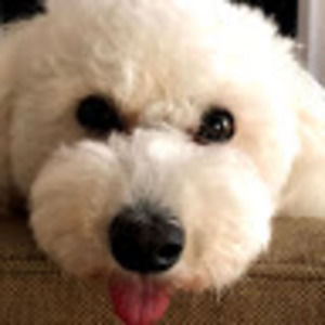 Meet your Posher, Nicolas